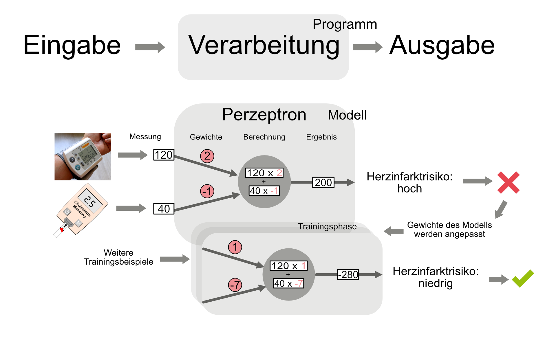 Funktionsweise eines Perzeptrons zur Vorhersage des Herzinfarktrisikos in Gegenüberstellung zum Eingabe-Verarbeitung-Ausgabe-Prinzip